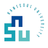 Namseoul  University (NSU)